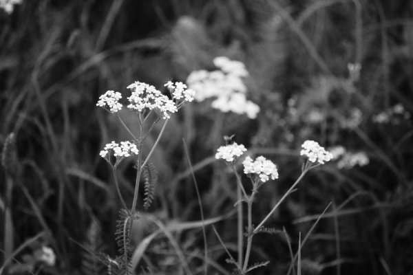 Фотовиставка Вікторії Величко